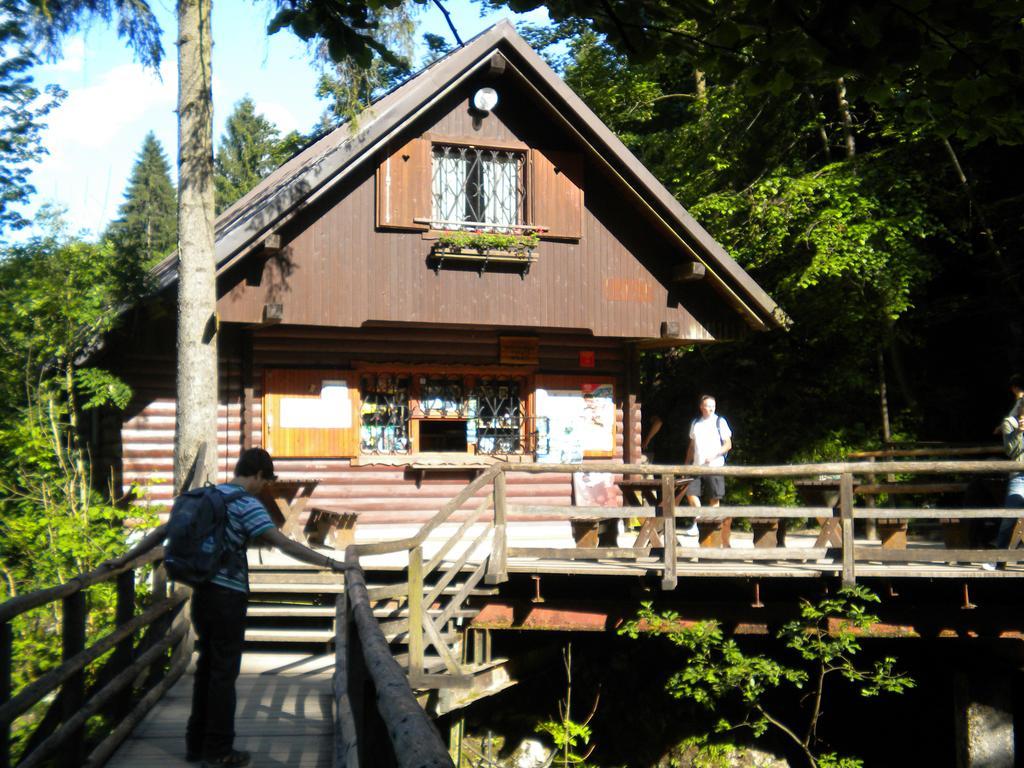 Apartma Zvan Bled Esterno foto