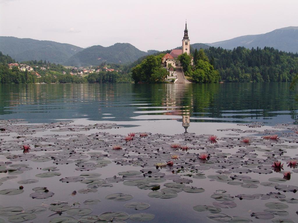 Apartma Zvan Bled Esterno foto